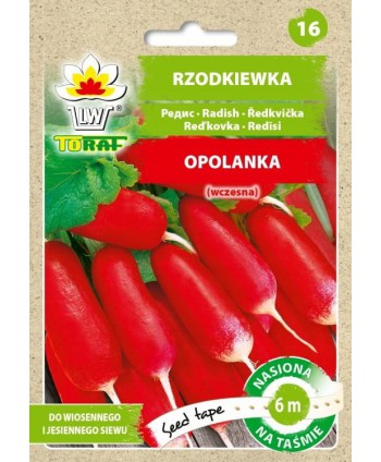 Rzodkiewka Opolanka - taśma