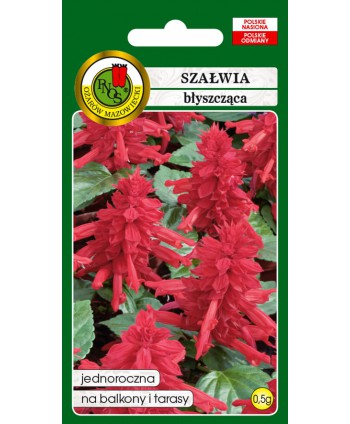 Szałwia błyszcząca różowa 0,5g