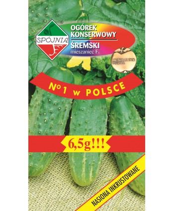 Ogórek śremski F1 - nasiona...