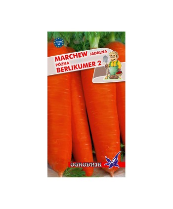 Marchew Berlikumer 2 5g