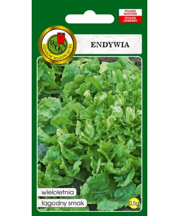 Endywia kędzierzawa "DE...