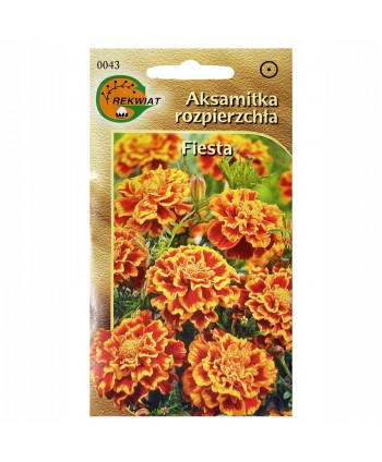 Aksamitka Fiesta 1g