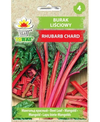 Burak liściowy Rhubarb...