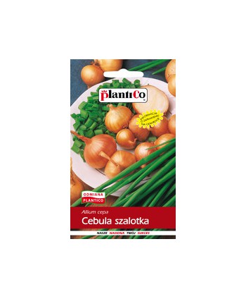 Cebula szalotka Toto 1g