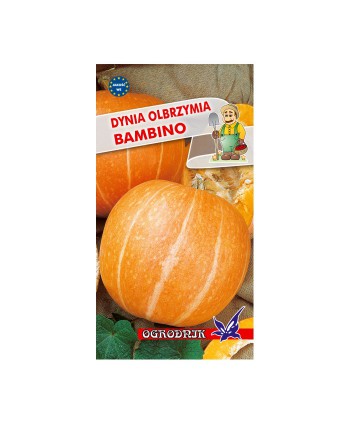 Dynia Olbrzymia Bambino 3g