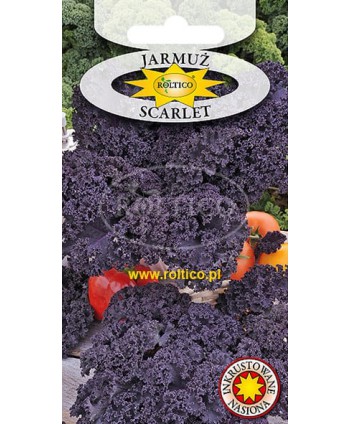 Jarmuż czerwony Scarlet 1g