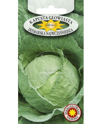 Kapusta Ditmarska...