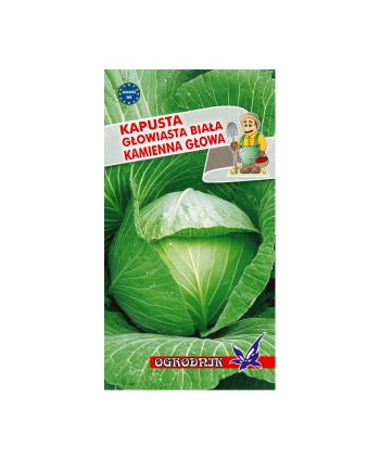 Kapusta Kamienna Głowa 2g