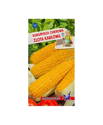 Kukurydza Złota Karłowa 10g