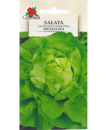 Sałata Michalina 1g