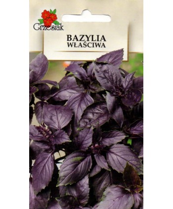 Bazylia właściwa czerwona 0,5g