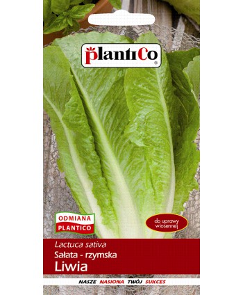 Sałata rzymska Liwia 1g