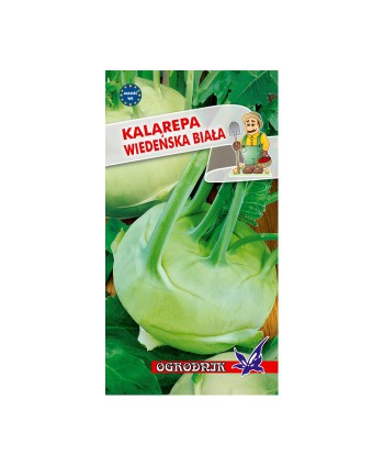 Kalarepa Wiedeńska Biała 2g