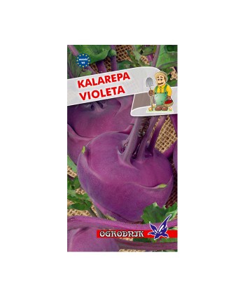 Kalarepa Violeta 2g
