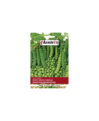 Groch Sześciotygodniowy 50g