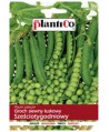 Groch Sześciotygodniowy 50g