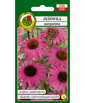 Rudbekia/Jeżówka purpurowa 1g