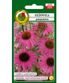 Rudbekia/Jeżówka purpurowa 1g