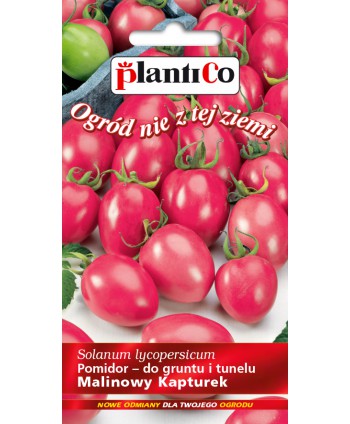 Pomidor Malinowy Kapturek 0,2g