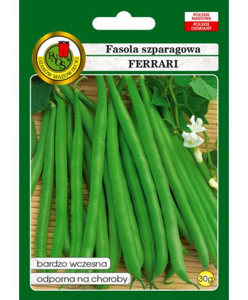 Fasola Ferrari 30g szparagowa