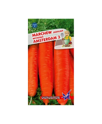 Marchew Amsterdam3  5g