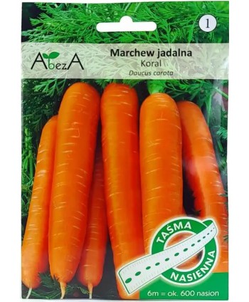 Marchew Karol 6m taśma