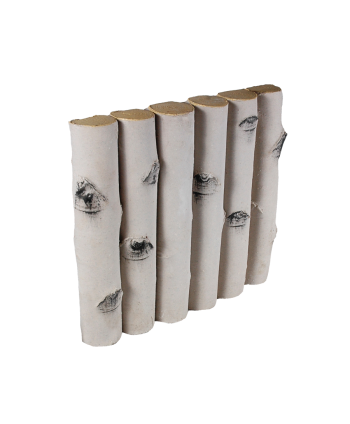 Palisada "BDO" Brzoza