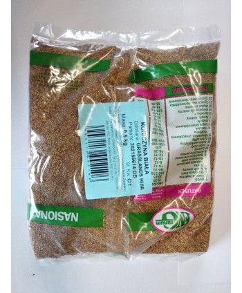 Koniczyna biała "Grasslands...