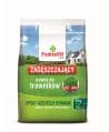 FruktoVit PLUS Nawóz zagęszczający do trawników 3kg