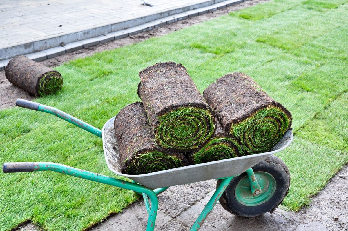 //cdn.optipic.io/site-104106/contentAdobeStock_40621616 - mini.jpg