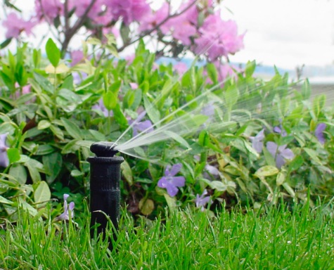 Systemy nawadniające