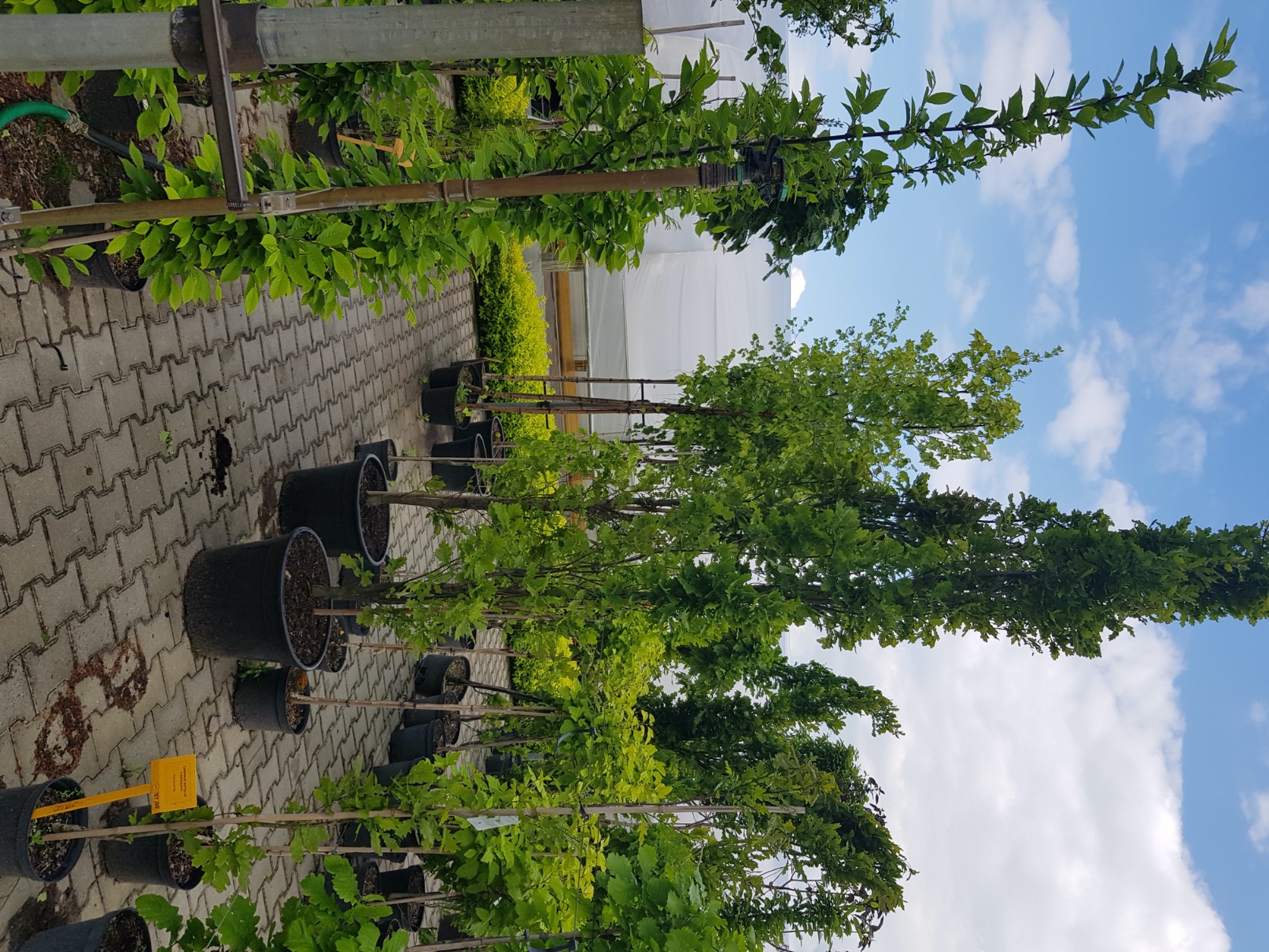 Centrum ogrodnicze Marix