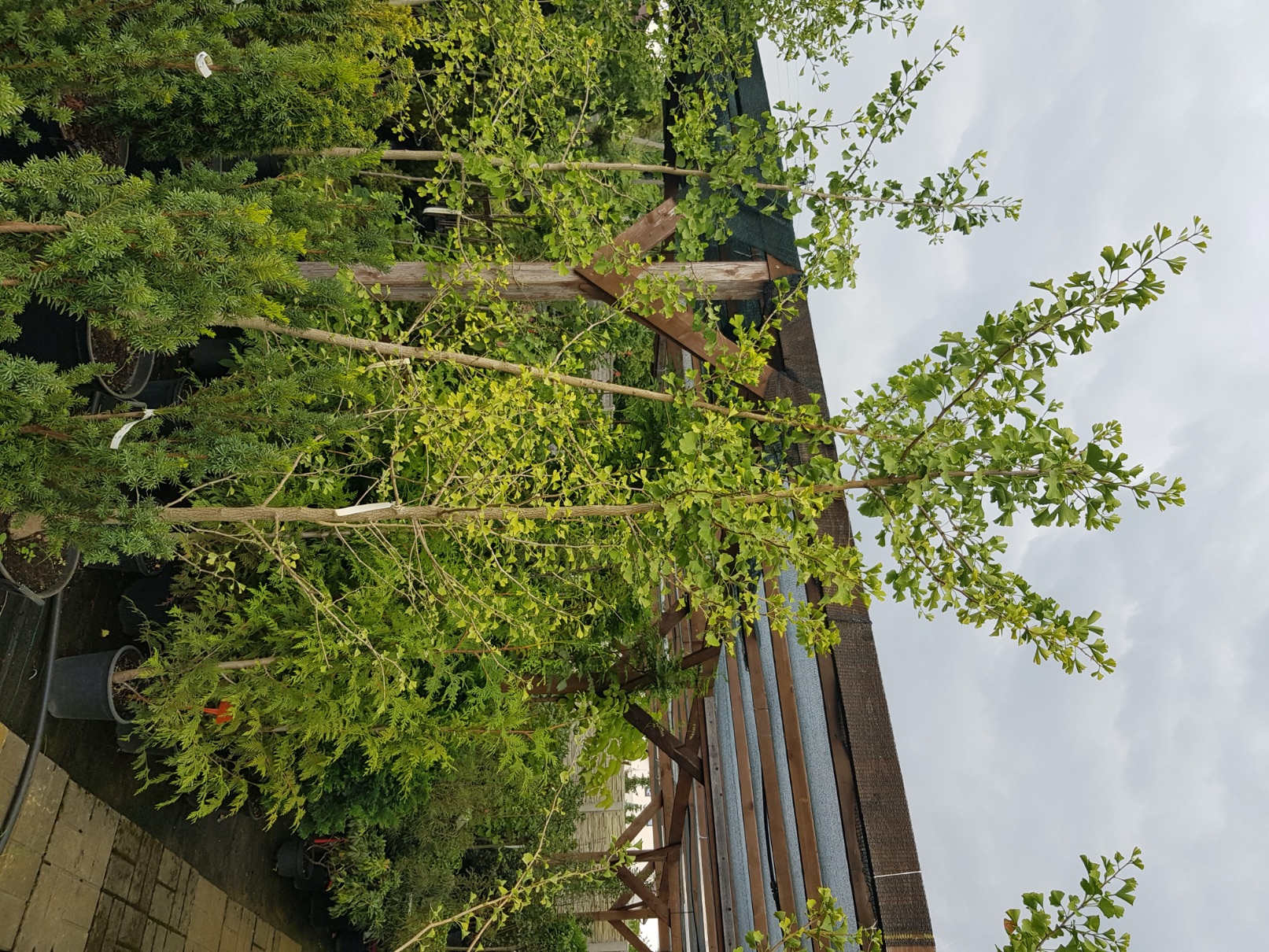 Centrum ogrodnicze Marix