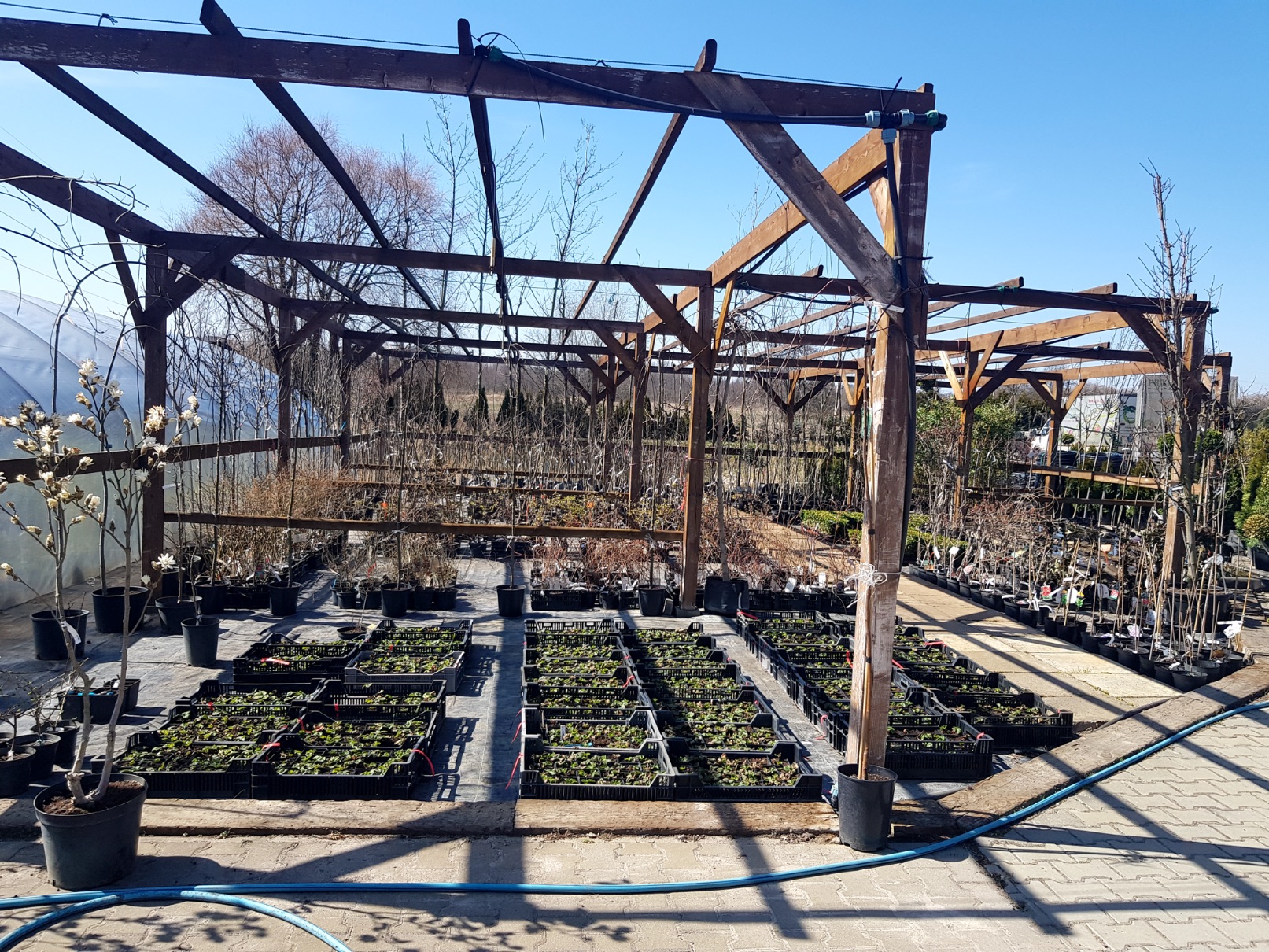 Centrum ogrodnicze Marix