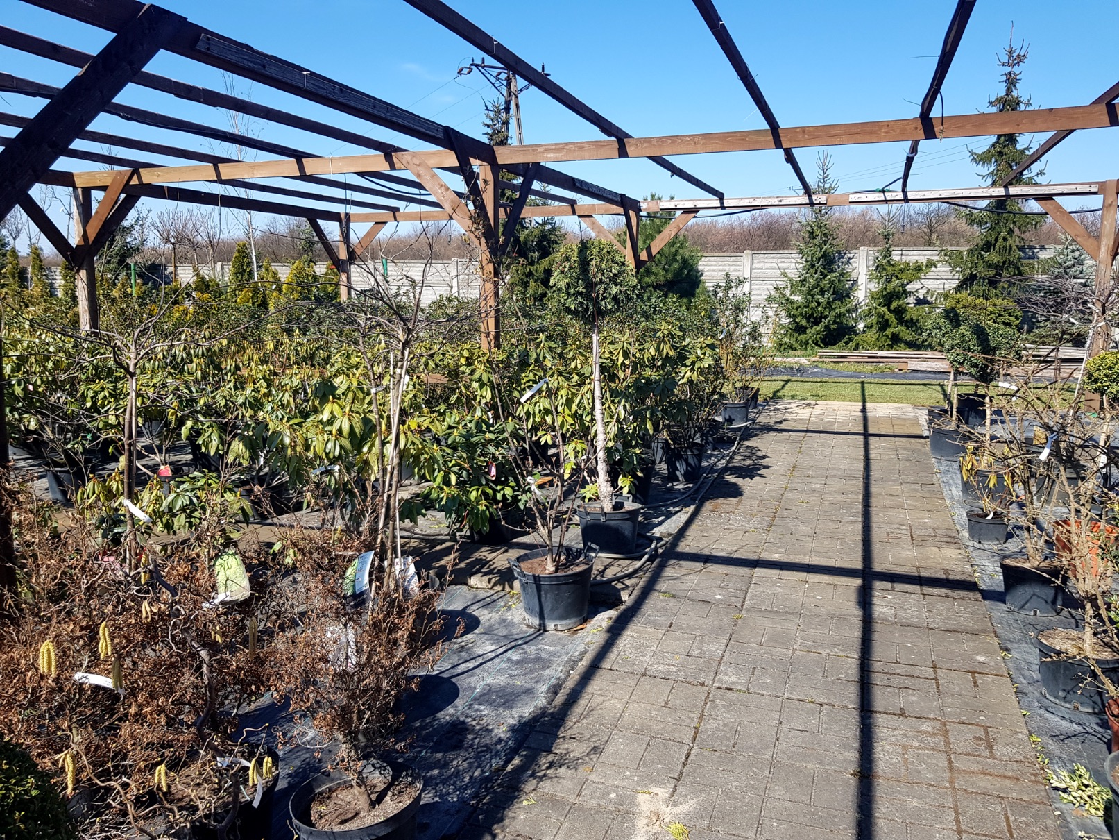 Centrum ogrodnicze Marix