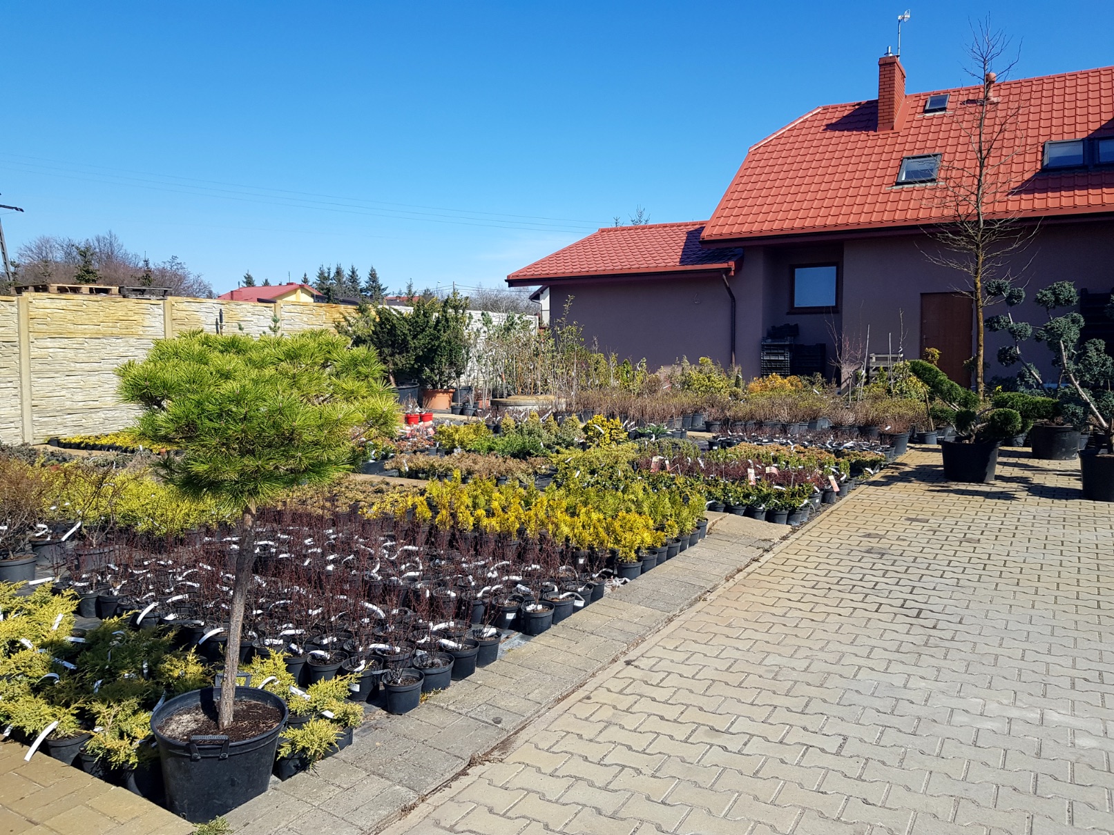 Centrum ogrodnicze Marix