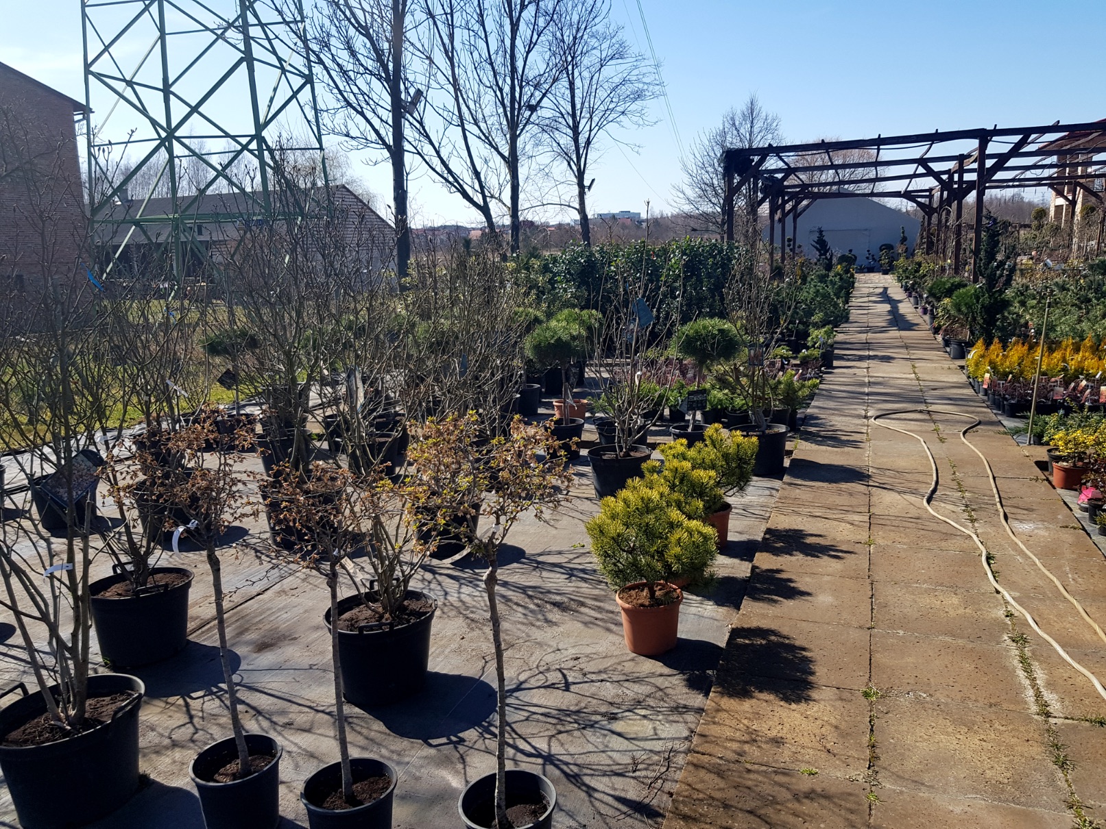 Centrum ogrodnicze Marix