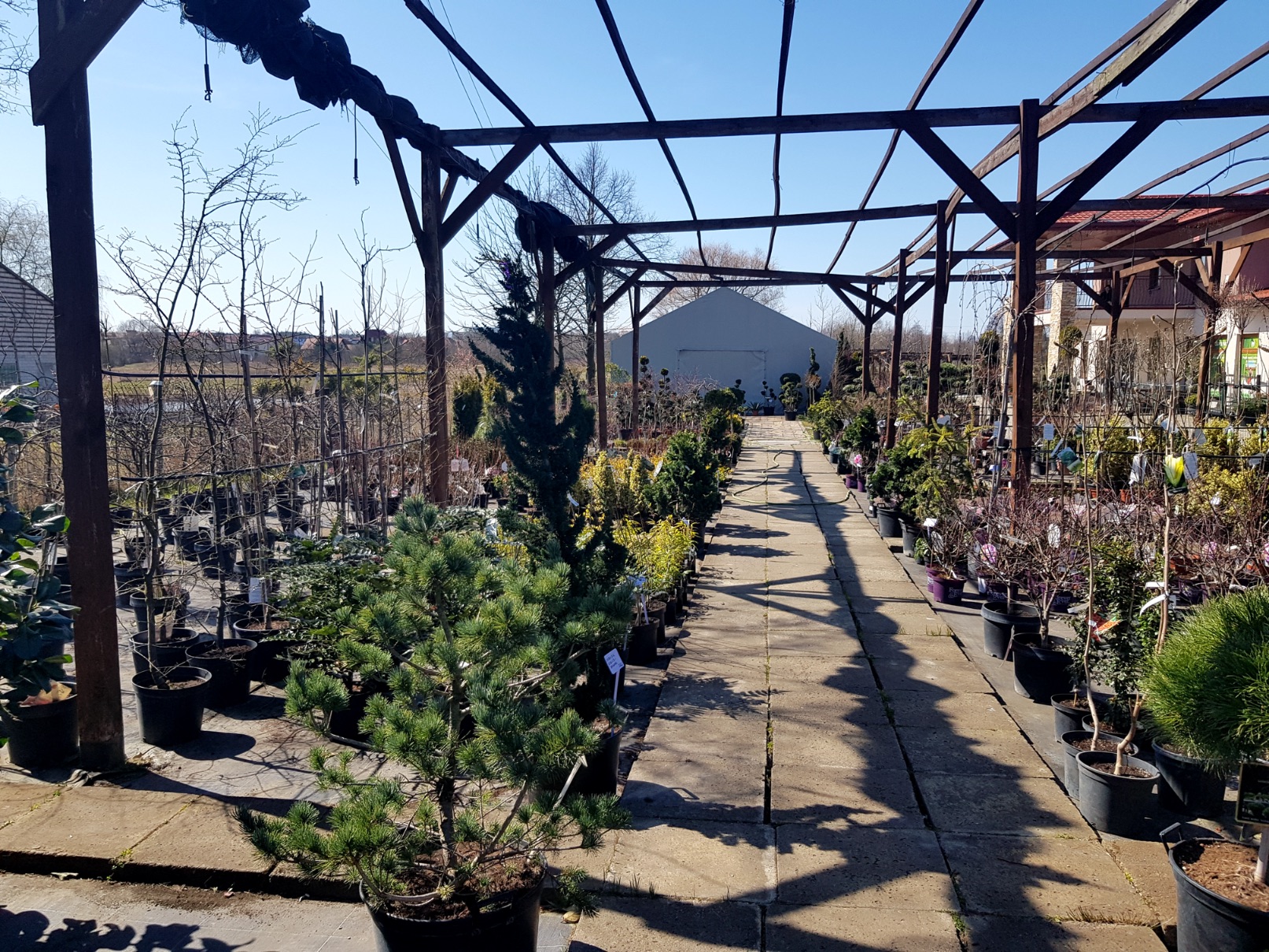 Centrum ogrodnicze Marix