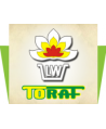 Toraf