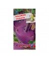 Kalarepa Violeta 2g