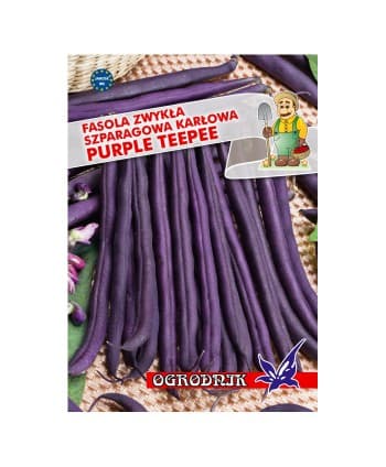 Fasola Purple Teepee 40g