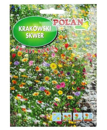 Krakowski skwer - kwiaty na...