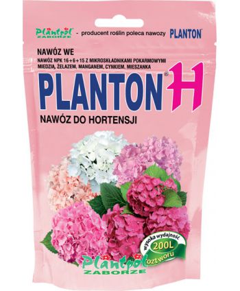 Planton H - Hortensja