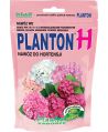 Planton H - Hortensja