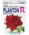 Planton R - Róże