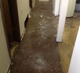 Water-Damage-Repair-Services-Lacey-WA