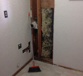 Mold-Removal-Lacey-WA