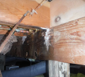 Water-Damage-Cleanup-Bothell-WA