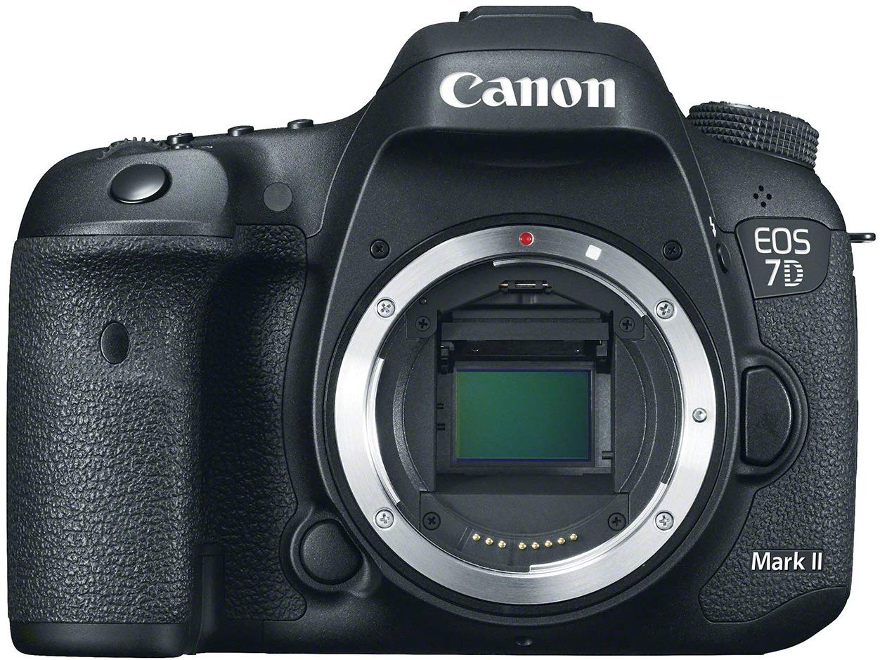 Catalog :: Electronics :: CAMERAS :: Digital SLR Cameras :: Canon