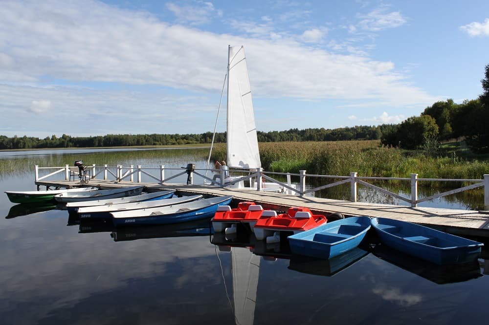 новый ковчег6